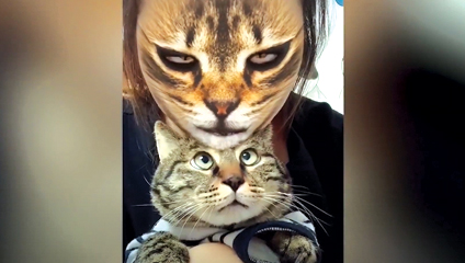 Funny Cats Reaction To Mask Filter