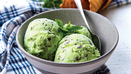 Mint Chocolate Chip Ice Cream